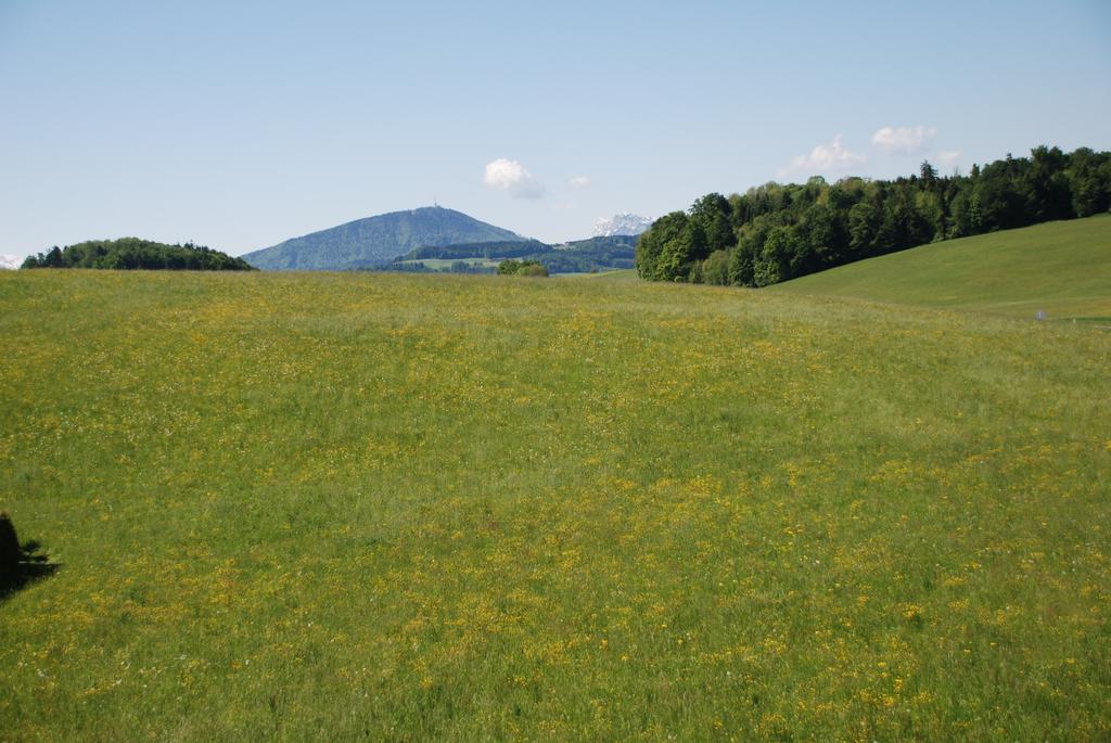 Landhaus Brieger Henndorf am Wallersee Bagian luar foto