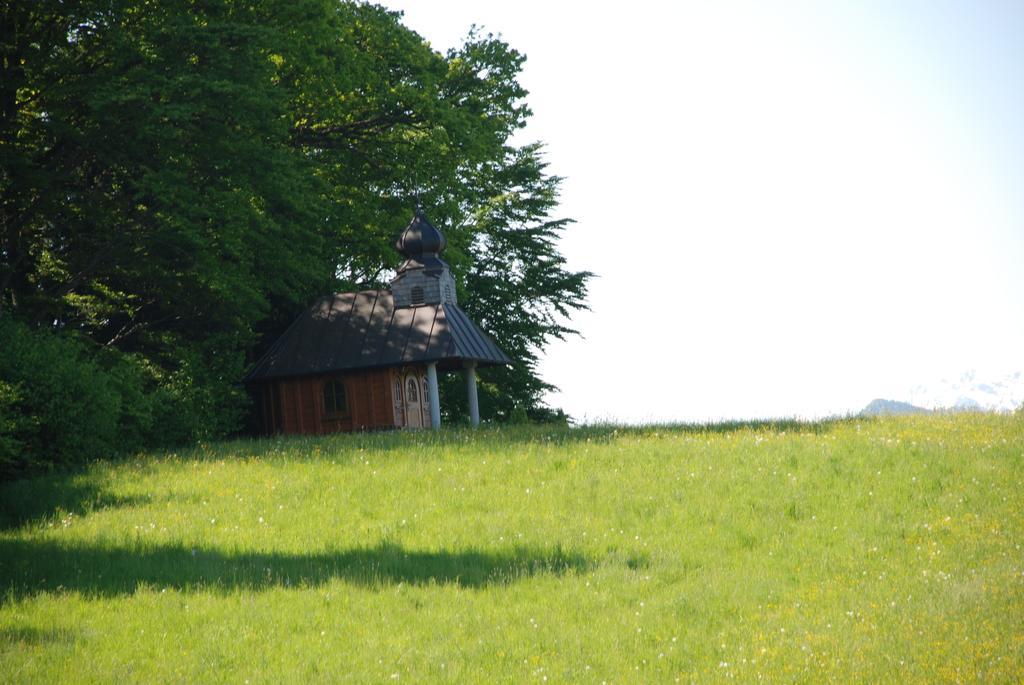 Landhaus Brieger Henndorf am Wallersee Bagian luar foto